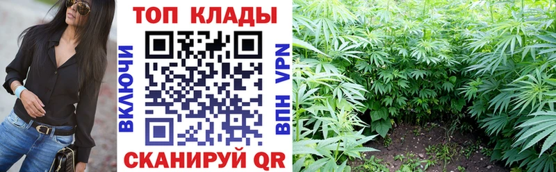 Как найти наркотики Ряжск Канабис  ЭКСТАЗИ  ГАШ  СК  АМФЕТАМИН 